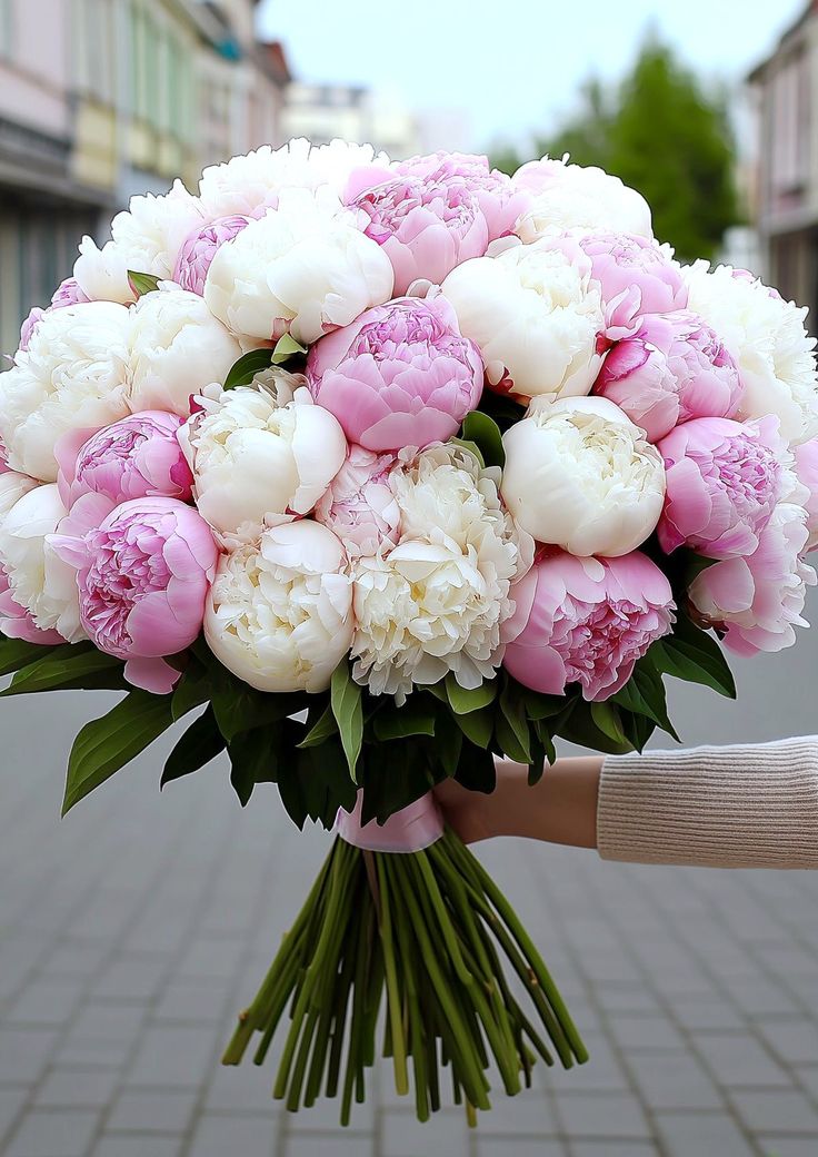 20 Pivoine Party
