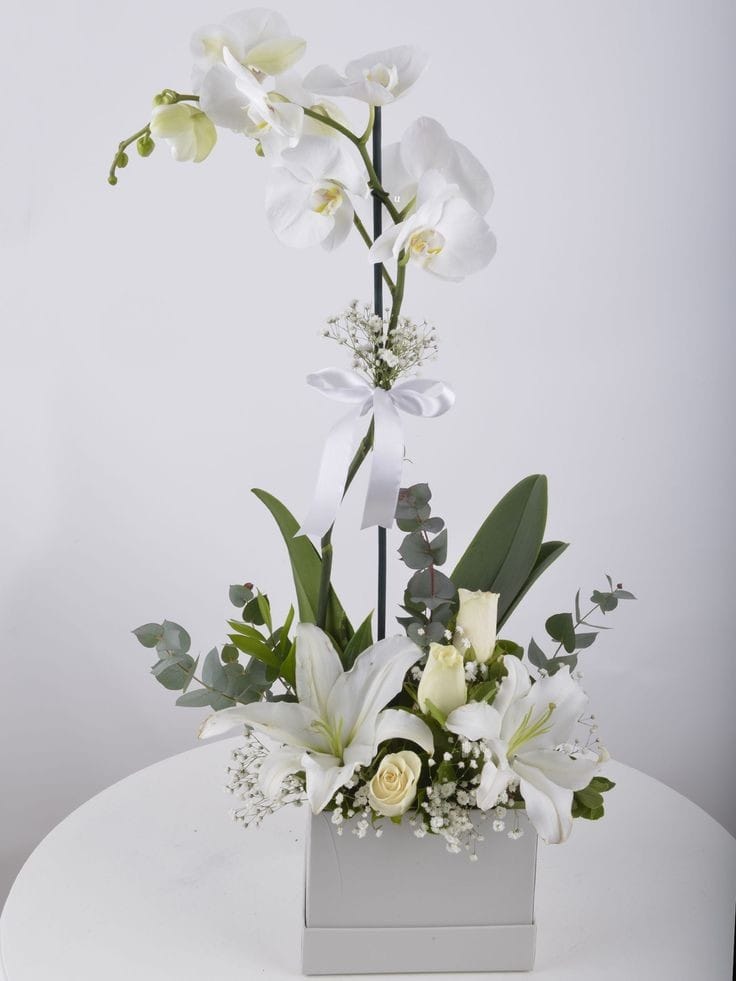 Élégance Orchidée