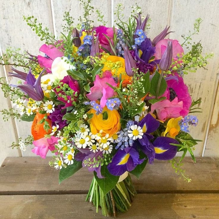Palette de Printemps