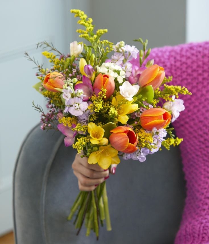 Tulipes Tango : Féérie en Orange et Blanc