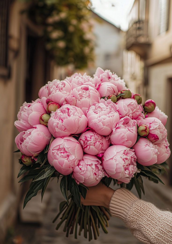 20 Pivoine Party