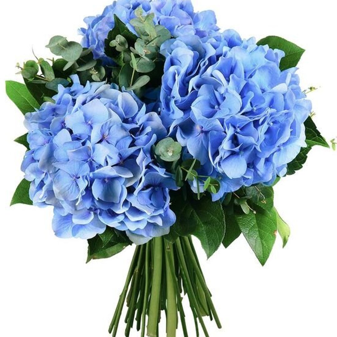 Bleu d'Été — bouquet d'été hortensias bleus, delphinium, eucalyptus