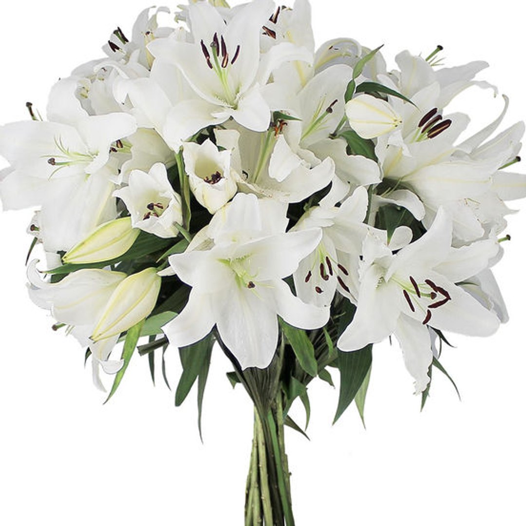Fraîcheur Canicule — bouquet d'été agapanthes, lys blancs, feuillage