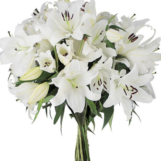 Fraîcheur Canicule — bouquet d'été agapanthes, lys blancs, feuillage