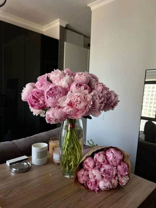Pivoines Diva