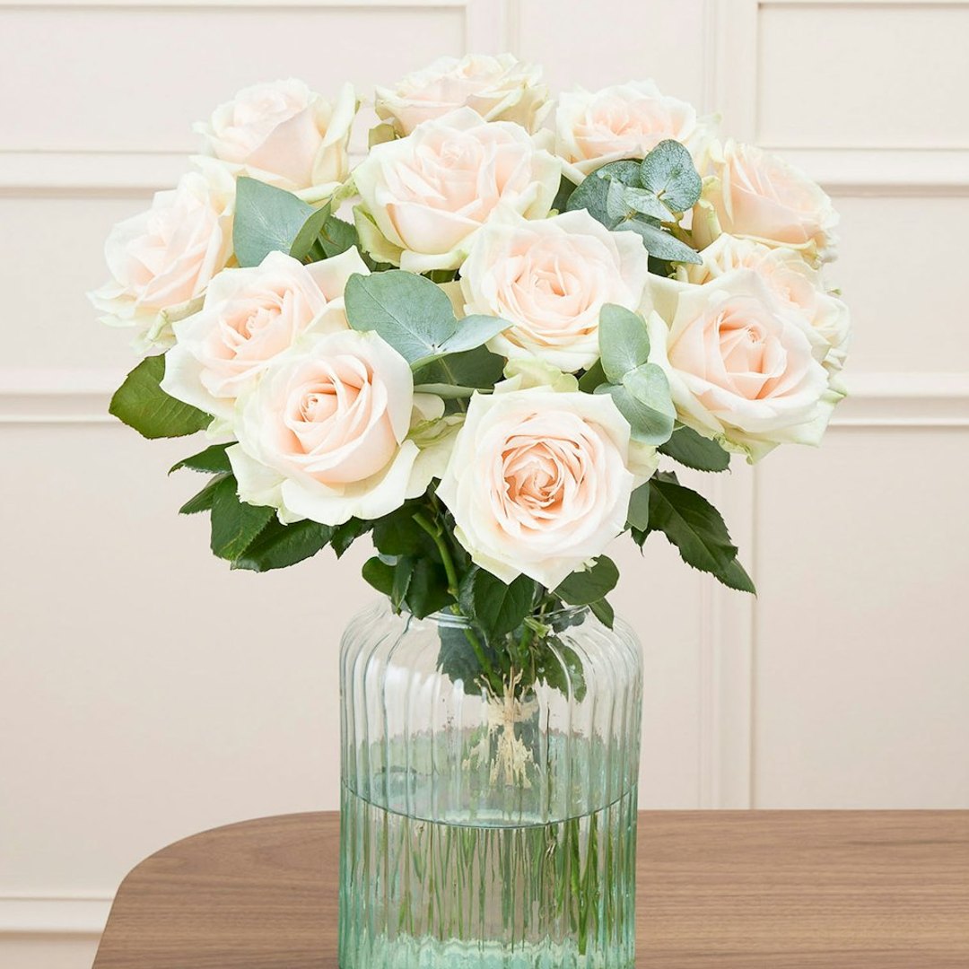 Roses Coloma