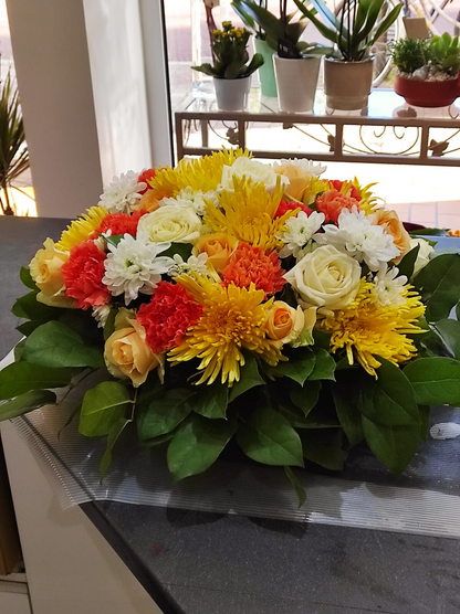 Coussin Énergie colorée