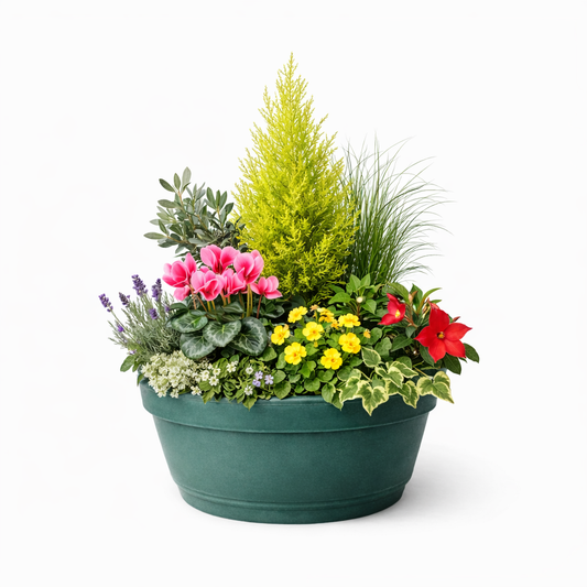 Jardinière Fleurie Colorée