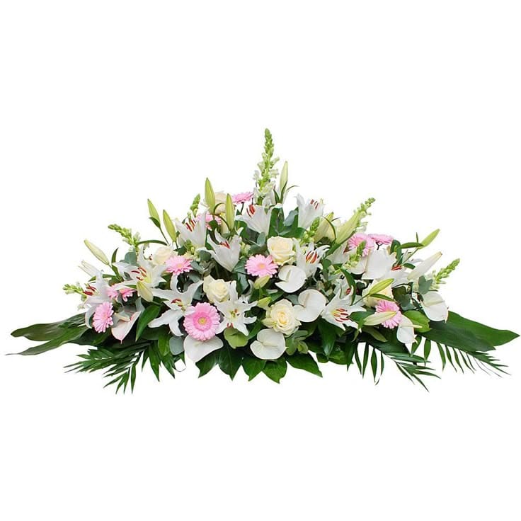 Raquette de deuil Porcelaine, blanc, rose — Camelia et ses fleurs